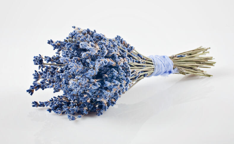 Sage Creation's Lavender Bundle