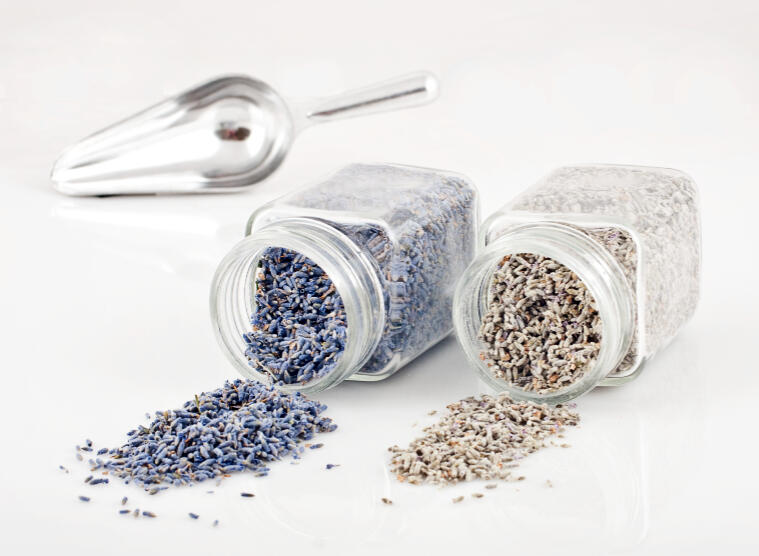 Sage Creation's Lavender 02