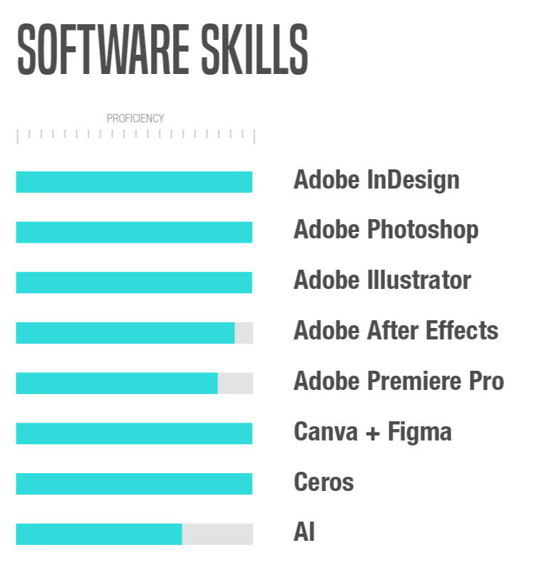 Software Skills